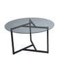 Hanah Home Trio Mesa de Centro de Cristal Templado Fume y Negro